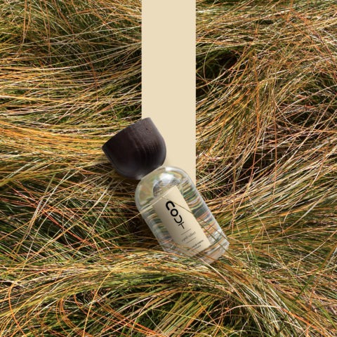 esprit vetiver - Nout parfum