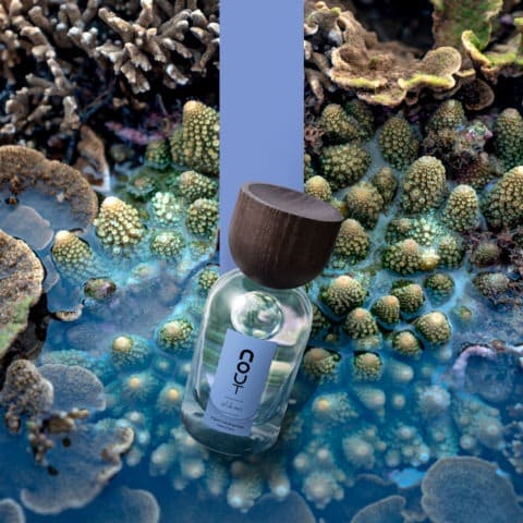 sel de mer - Nout parfum (100ml)