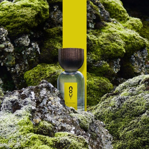 terre aromatique - Nout parfum