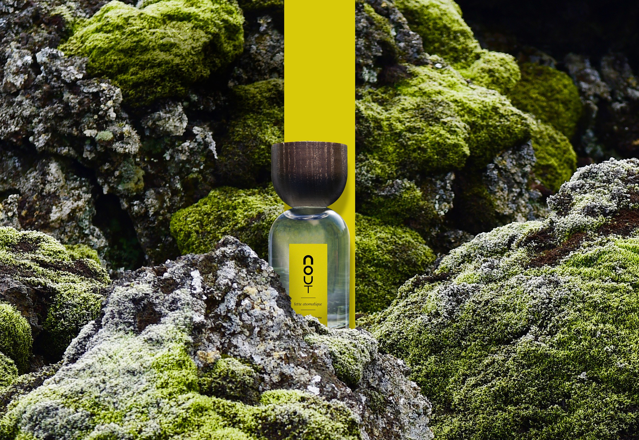 terre aromatique - Nout parfum